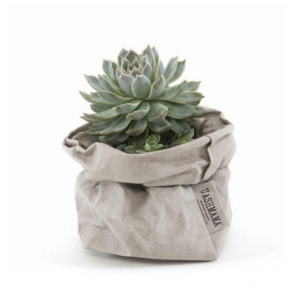 Uashmama Paper Bags dui eleifend bibendum volutpat